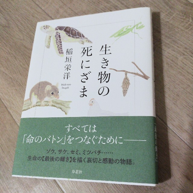 生き物の死にざま エンタメ/ホビーの本(ノンフィクション/教養)の商品写真