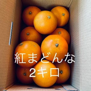 もうすぐ終了!! 紅まどんな愛媛県宇和島産2キロ(フルーツ)