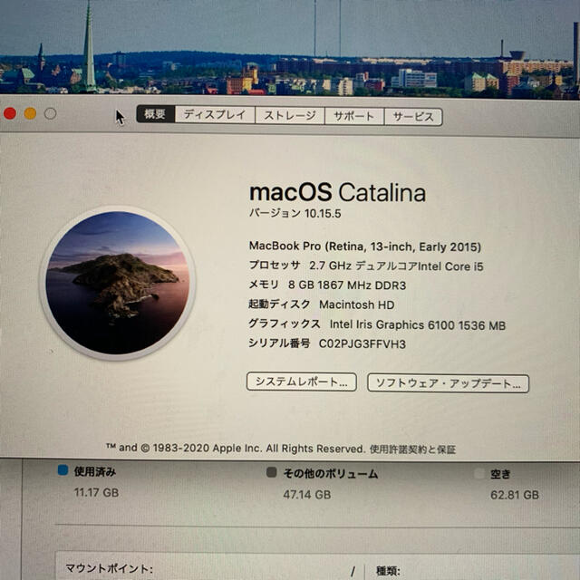 Apple MacBook Pro 13インチ Early2015
