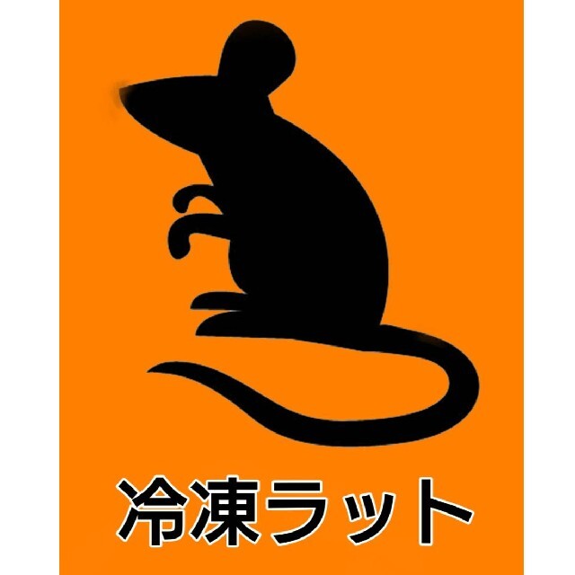 一部送料無料!自家繁殖冷凍ラット100g前後21匹、100~110g前後12匹