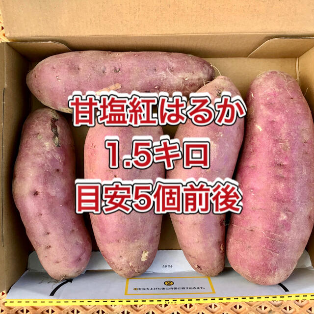 【鹿児島産】甘塩サツマイモ箱込み1.5キロ^_^ 食品/飲料/酒の食品(野菜)の商品写真