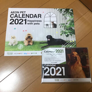 可愛いペットカレンダー2021（卓上カレンダー付）(カレンダー/スケジュール)
