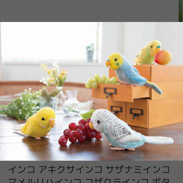 可愛いインコぬいぐるみ 2羽専用ページの通販 By みき S Shop ラクマ 可愛いインコぬいぐるみ 2羽専用ページの通販 By みき S Shop ラクマ