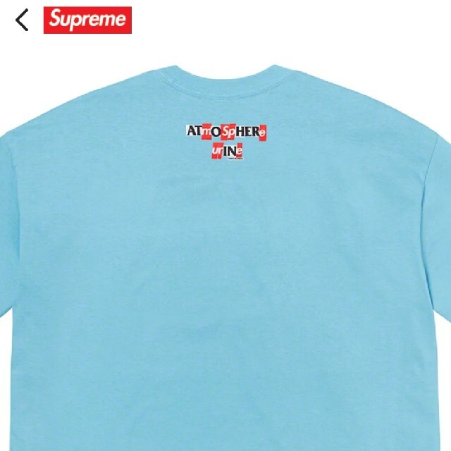 Supreme(シュプリーム)のSupreme ANTIHERO ICE TEE サイズXL メンズのトップス(Tシャツ/カットソー(半袖/袖なし))の商品写真
