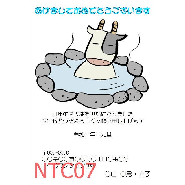 60枚 年賀状カラー印刷(インクジェット) NTC06 2
