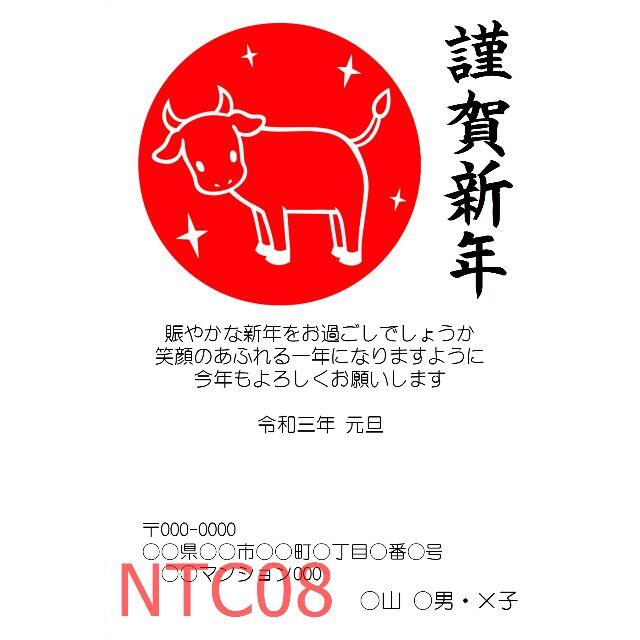 60枚 年賀状カラー印刷(インクジェット) NTC06 3