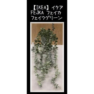 イケア(IKEA)の②鉢カバー付【IKEA】イケア　ユーカリ FEJKA フェイカ　人工観葉植物(置物)
