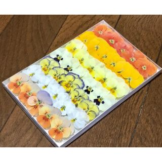 お花屋さんが作った可愛いビオラのドライフラワーです  a(ドライフラワー)