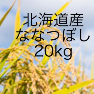 米　ななつぼし　20kg (米/穀物)