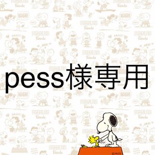 pess様専用ページ(その他)