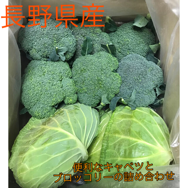 長野県産　キャベツとブロッコリーの詰め合わせ 食品/飲料/酒の食品(野菜)の商品写真