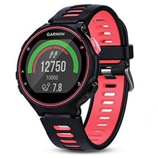 ガーミン(GARMIN)の【yoshiki.sさん専用】Garmin ForeAthlete 735XTJ(その他)