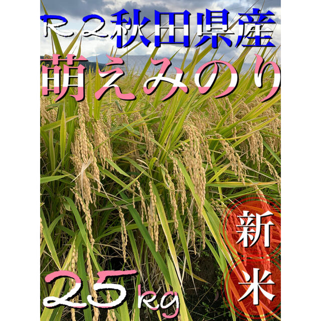 米/穀物令和2年 秋田県産【萌えみのり】玄米25kg 減農薬 大粒で美味い！精米無料！