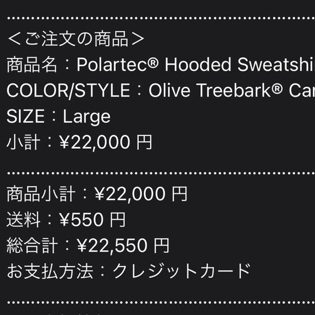 Supreme(シュプリーム)のSupreme Polartec Hooded Sweatshirt L メンズのトップス(パーカー)の商品写真