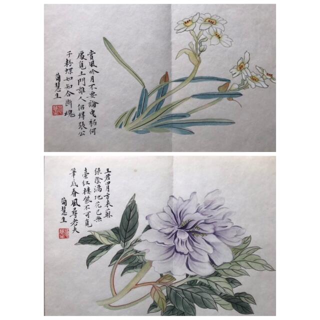 花卉畫冊