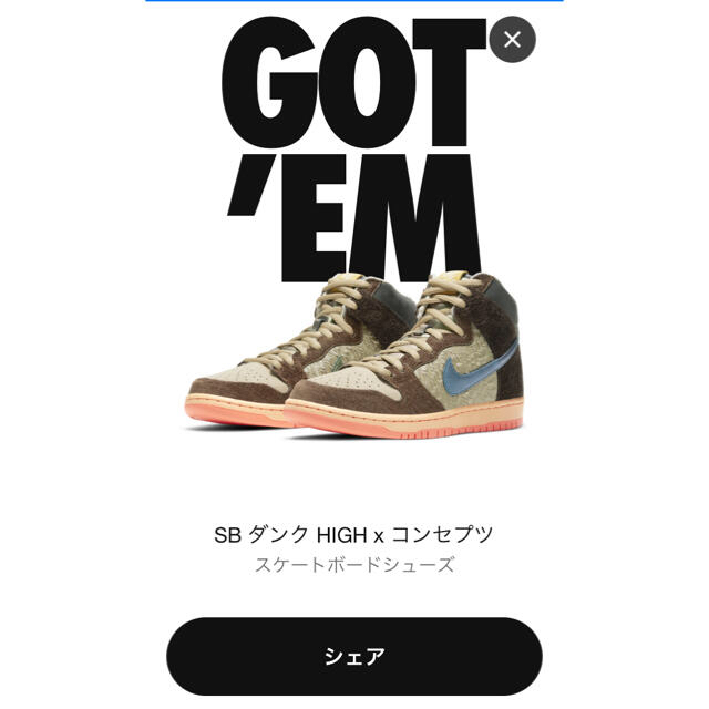 【25.5】NIKE SB DUNK CONCEPTS