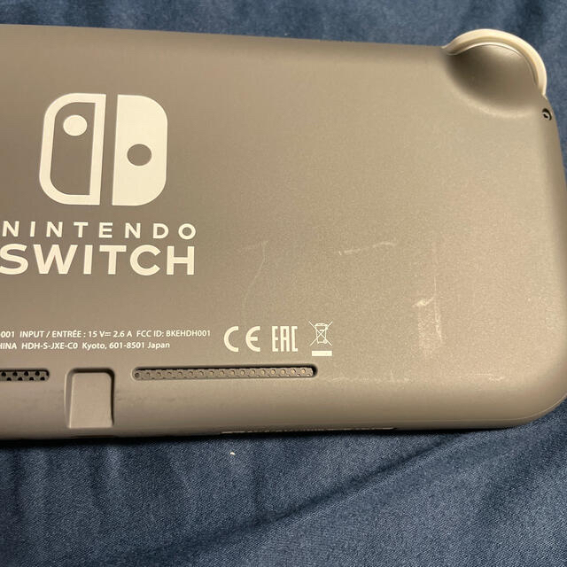 Nintendo Switch Liteグレー　あつまれどうぶつの森セット