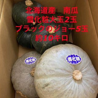 北海道産　雪化粧　ブラックのジョー南瓜(野菜)