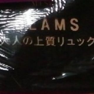 ビームス(BEAMS)の専用☆BEAMS　大人のリュック(リュック/バックパック)