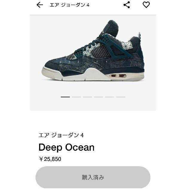 サイズ26 ナイキ エアジョーダン4 SE