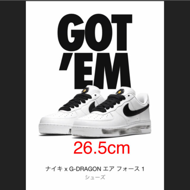 NIKE×G-DRAGON エアフォース1 パラノイズホワイト　26.5