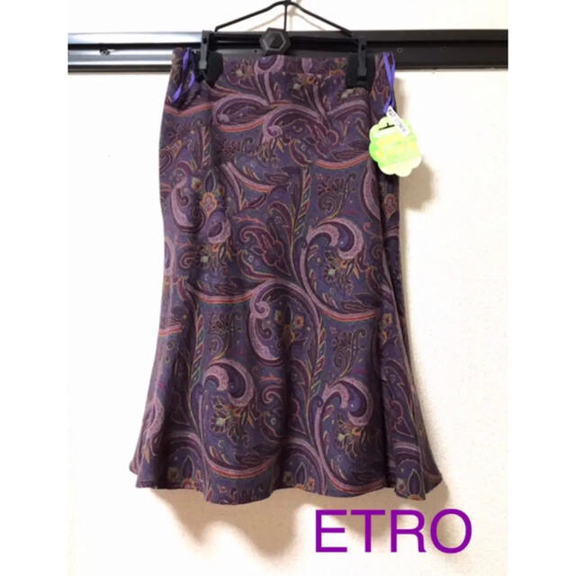 ETRO(エトロ)のETROスカート レディースのスカート(ひざ丈スカート)の商品写真