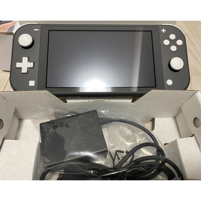 Nintendo Switch Liteグレー 美品 - 3