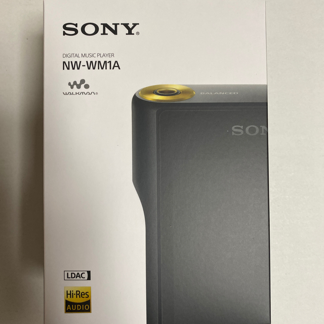 SONY NW-WM1A 128GB