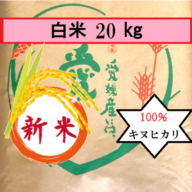 お米　令和２年　愛媛県産キヌヒカリ　白米　20㎏食品