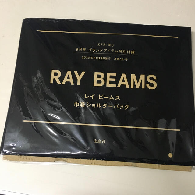 Ray BEAMS(レイビームス)の新品未開封　スプリング 2020年 9月号 レイビームス  巾着ショルダーバッグ レディースのバッグ(ショルダーバッグ)の商品写真