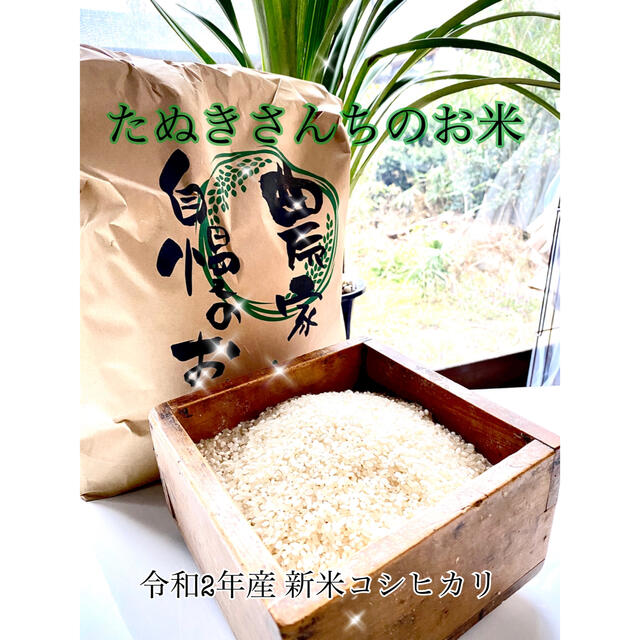たぬきさんちのお米(新潟県産コシヒカリ)5kg 食品/飲料/酒の食品(米/穀物)の商品写真
