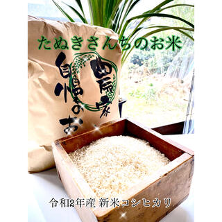たぬきさんちのお米(新潟県産コシヒカリ)5kg(米/穀物)