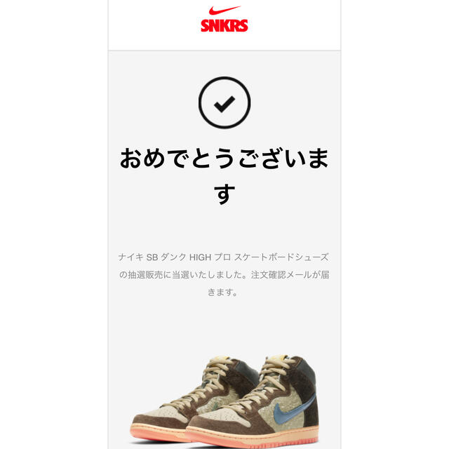 NIKE(ナイキ)のくまTED様　専用　SBダンクHIGH×コンセプツ　Mallard メンズの靴/シューズ(スニーカー)の商品写真