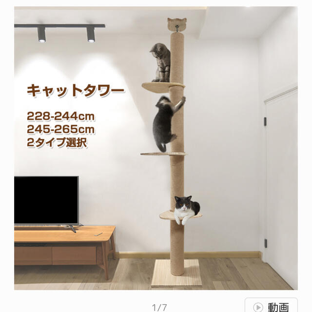 キャットタワー新品未使用