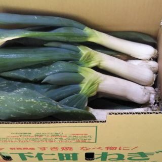 本場下仁田ネギ(野菜)