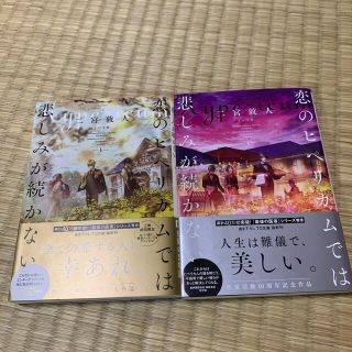 恋のヒペリカムでは悲しみが続かない 上下(文学/小説)