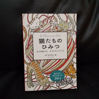 【美品】猫たちのひみつ(その他)