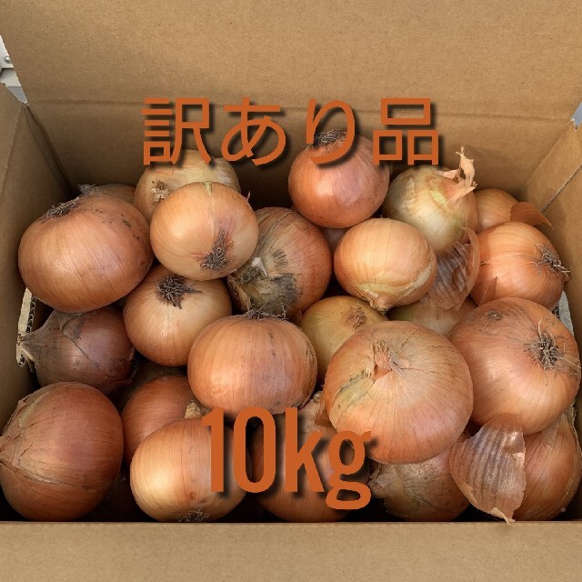 北海道産玉ねぎ訳あり10kg 食品/飲料/酒の食品(野菜)の商品写真