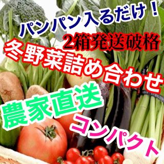 セール‼️破格2箱発送‼️冬野菜詰め合わせコンパクトぱんぱん発送‼️(野菜)