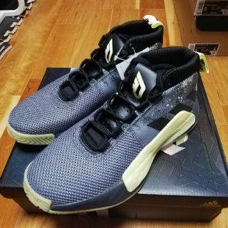 アディダス(adidas)のADIDAS DAME 5 GCA 25.5cm(バスケットボール)