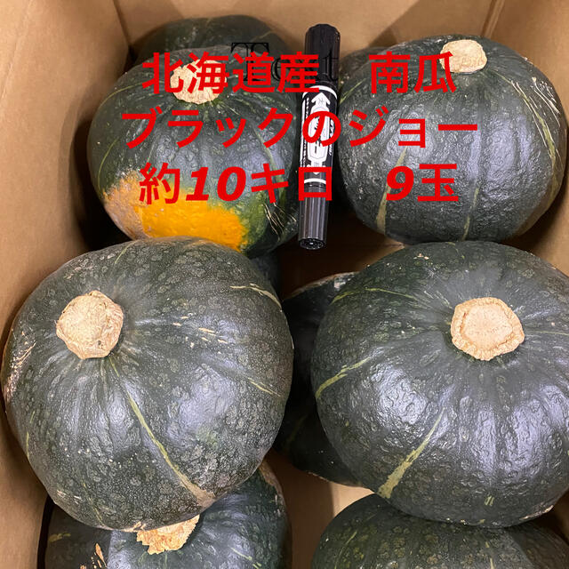 北海道産南瓜　ブラックのジョー 食品/飲料/酒の食品(野菜)の商品写真