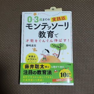 ０～３歳までの実践版モンテッソーリ教育で才能をぐんぐん伸ばす！ 写真とイラストで(結婚/出産/子育て)