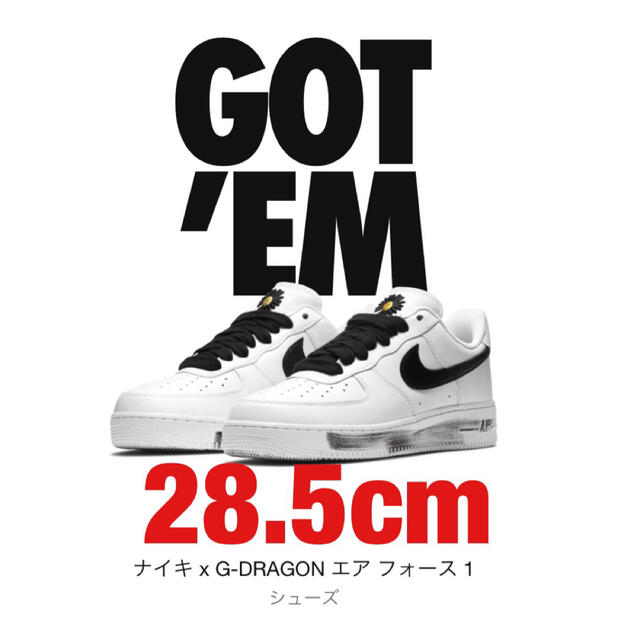 NIKE ナイキ エアフォース1 パラノイズ28.5cm