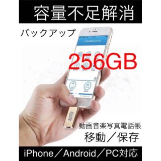 256GB usbフラッシュメモリ　ゴールド　フラッシュドライブ　バックアップ(PC周辺機器)