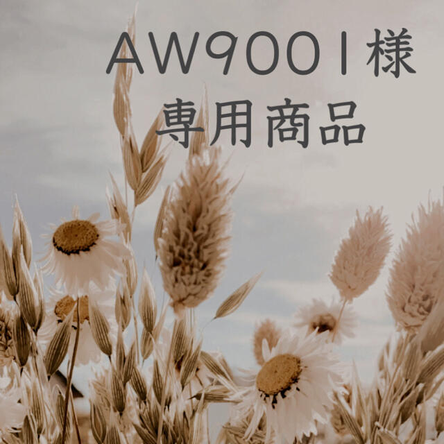 AW9001さま
