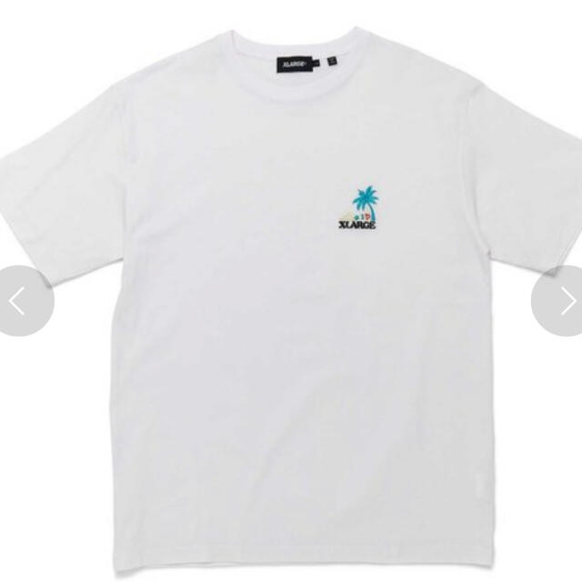 X-LARGE エクストラージ クッキーモンスター ゆるダボ 半袖 Tシャツ-