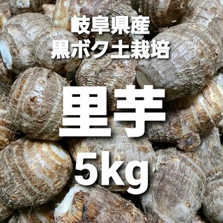 ⑤6 岐阜県産 無農薬 ねっとり里芋 5kg お得！(野菜)