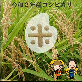こっちゃんmama様専用です😊コシヒカリ玄米24kg(米/穀物)