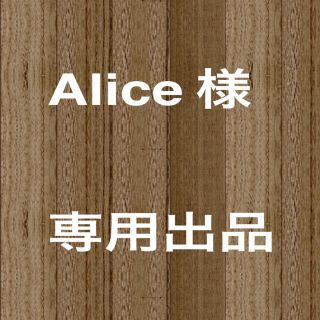 ＊Alice様 専用＊re-j 花柄 プリーツスカート 【LL】ホワイト(ロングスカート)