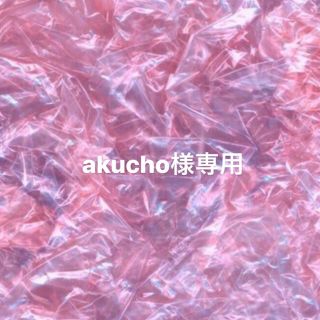 akucho様専用(ネイルチップ)